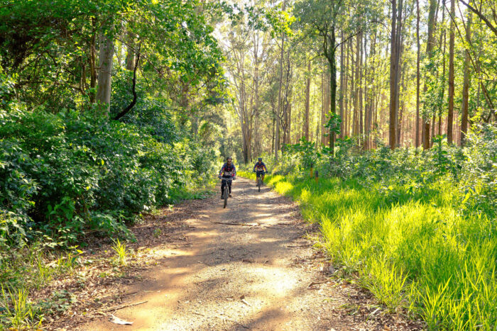 3-daagse MTB-arrangement Drenthe