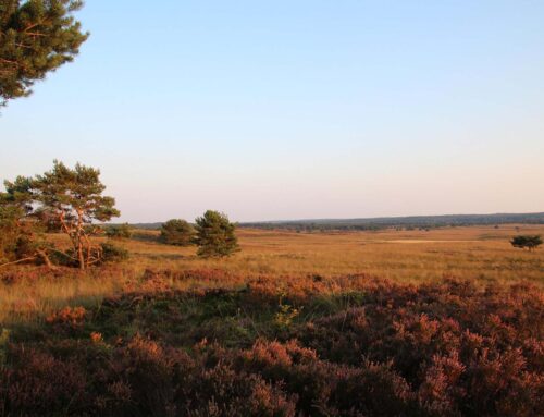 Nederlands mooiste landschappen