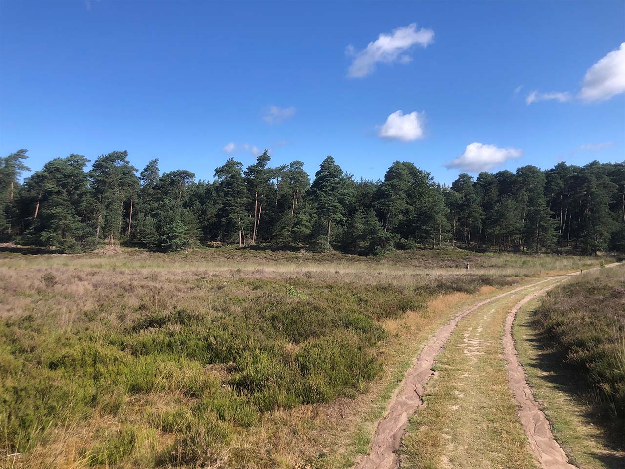 karrepad veluwe