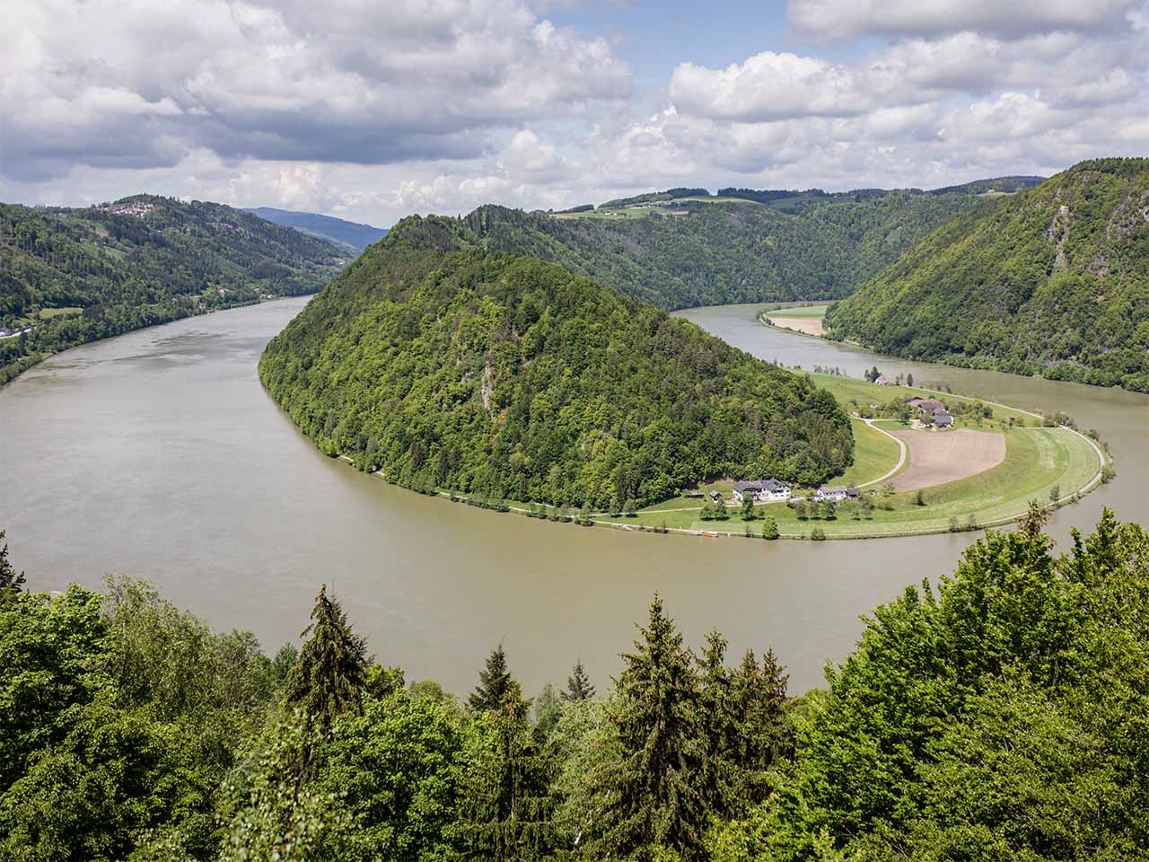 TrailrunningChallenge©TourismusverbandDonauOberoesterreichPhilippReiter