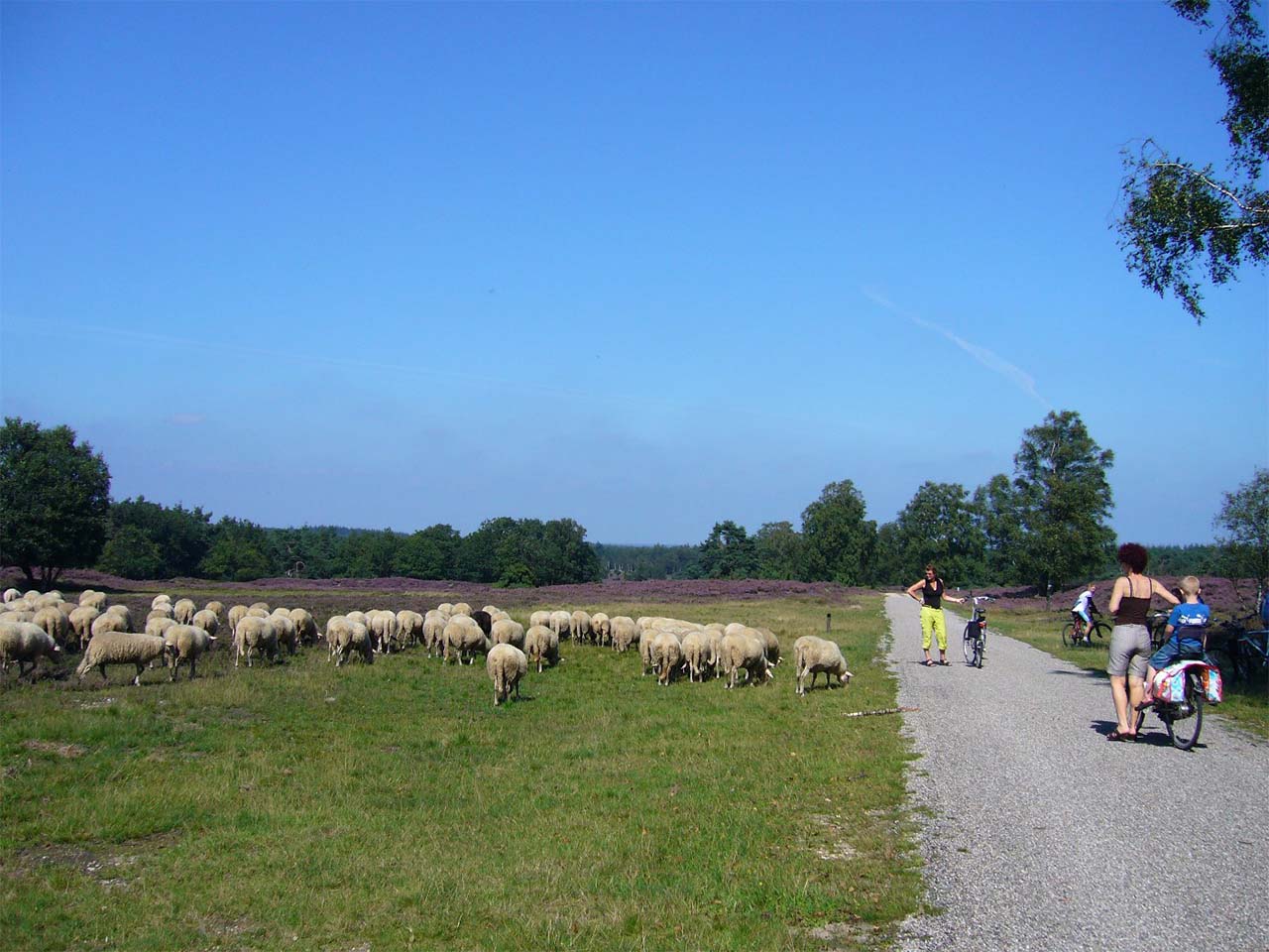 adwinveluwe1