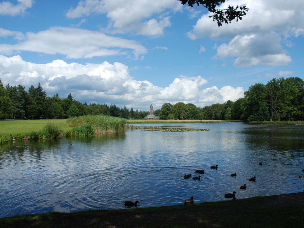 hogeveluwe